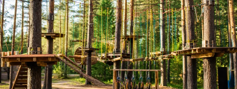 Верёвочный парк «Весёлая Лазалка» в Кашино