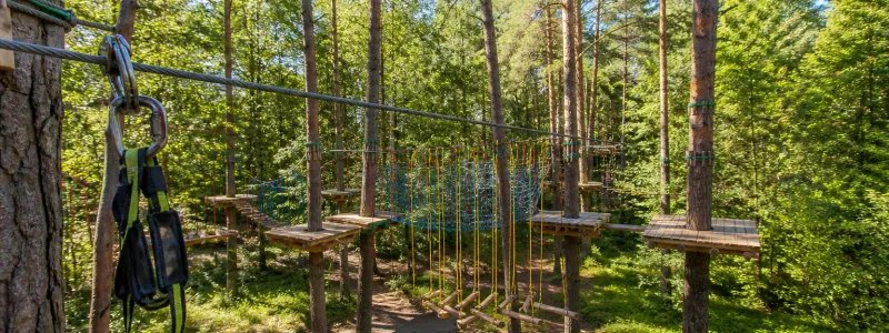 Norway Park Орех