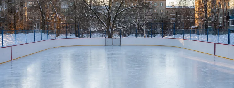 Каток на Елизаровых