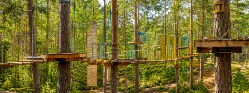 Parkwood's в Связисте (Петровское)